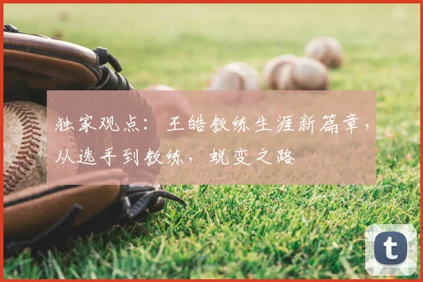 独家观点：王皓教练生涯新篇章，从选手到教练，蜕变之路
