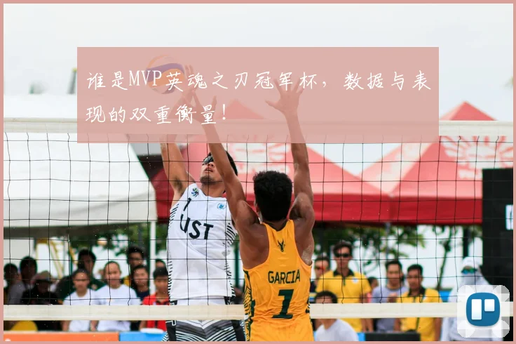 谁是MVP英魂之刃冠军杯，数据与表现的双重衡量！
