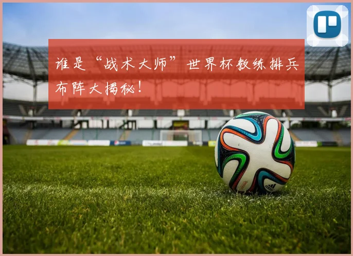 谁是“战术大师”世界杯教练排兵布阵大揭秘！
